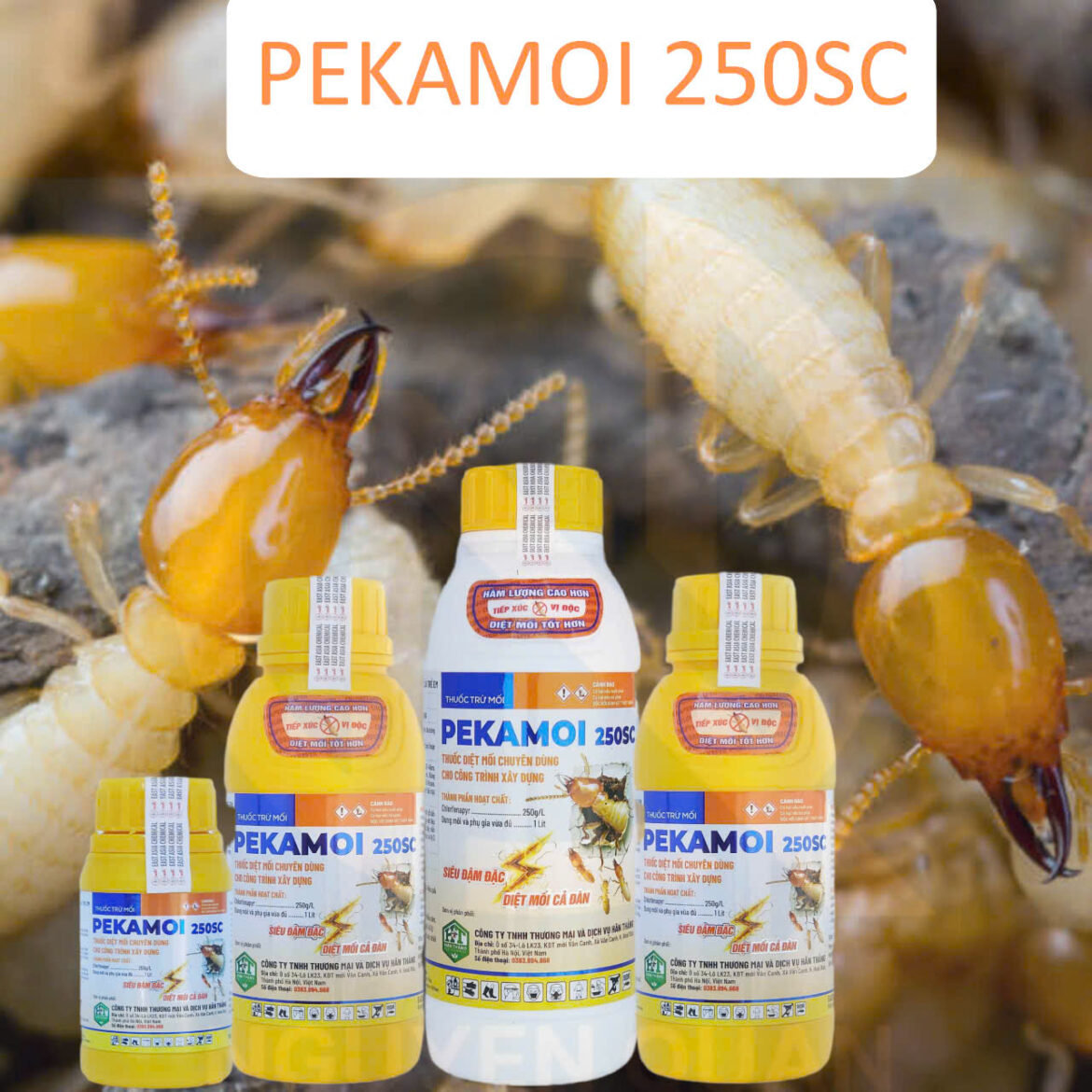 Pekamoi 250SC - giải pháp diệt mối mới, hiện đại hơn.