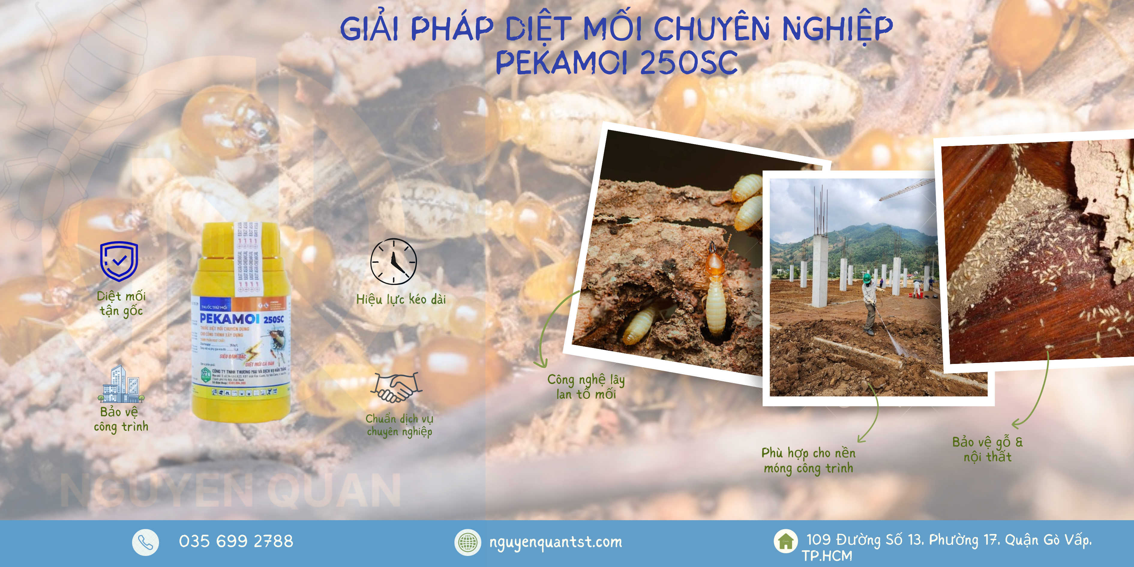 THUỐC DIỆT MỐI PEKAMOI 250SC – Giải Pháp Diệt Mối Tận Gốc, Hiệu Quả Cao Cho Nhà Ở & Công Trình