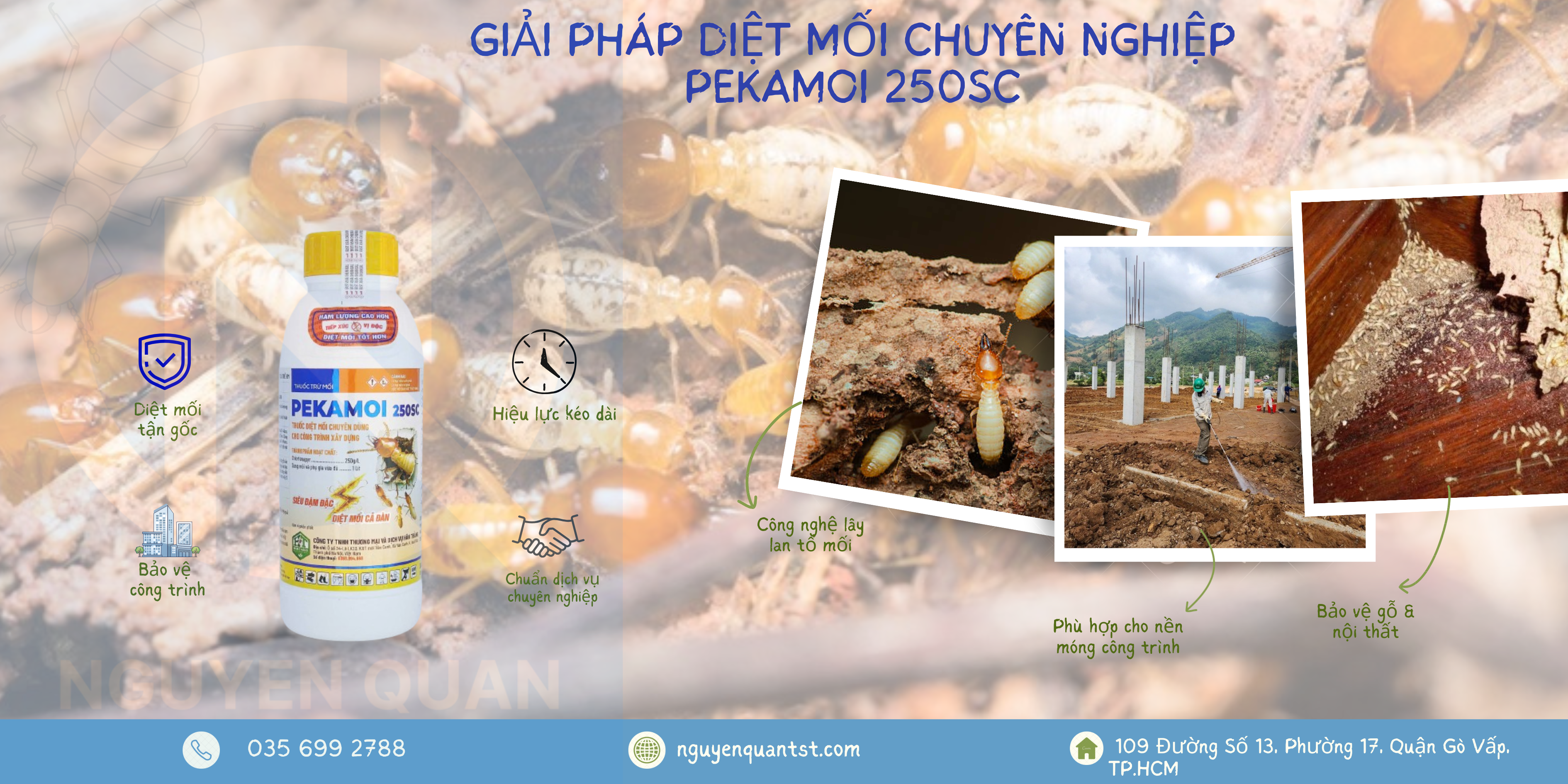 PEKAMOI 250SC – chế phẩm diệt mối tận gốc, hiệu lực kéo dài