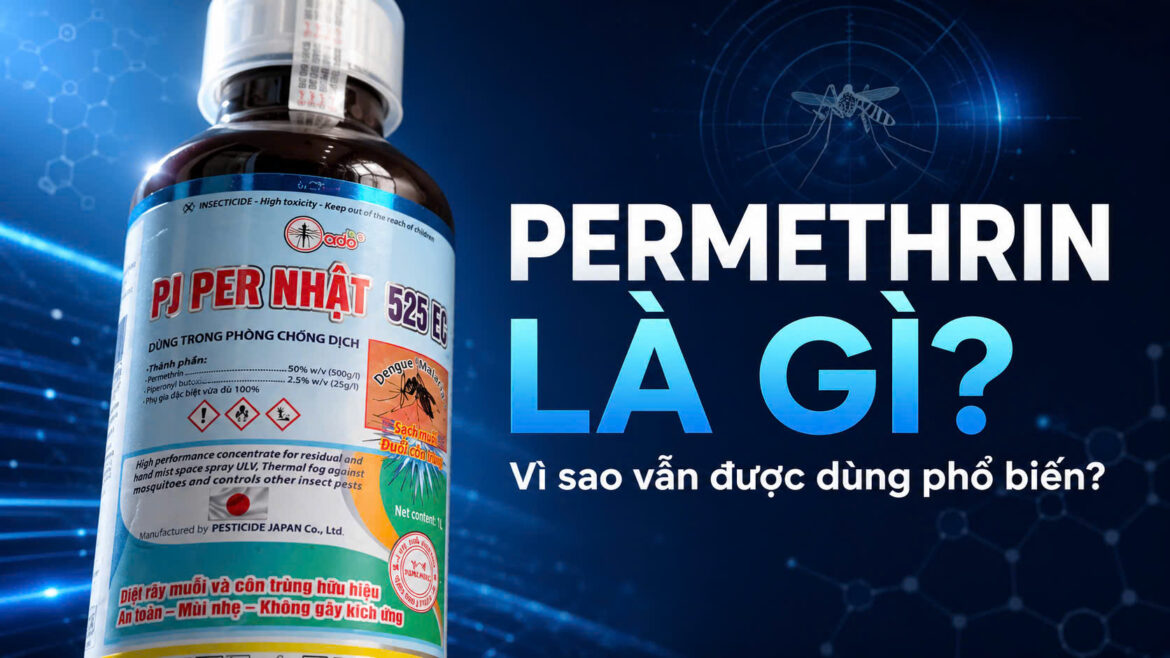 permethrin la gi
