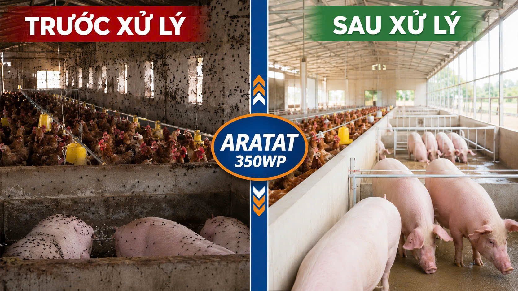 Ưu Điểm Nổi Bật Của Aratat 350WP